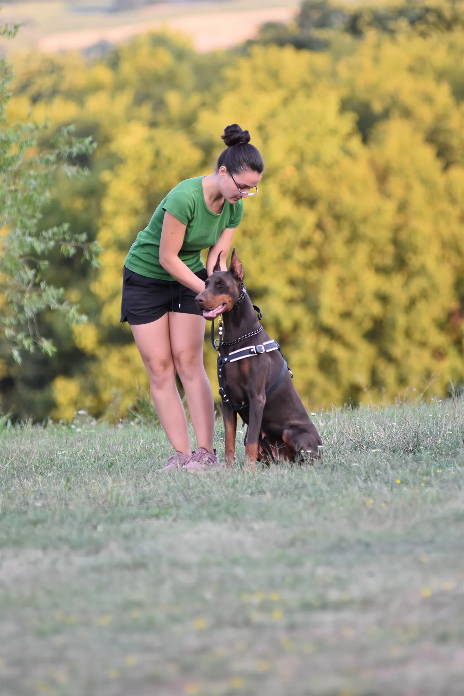 Handler working with her Dobermann on a hillside at dusk